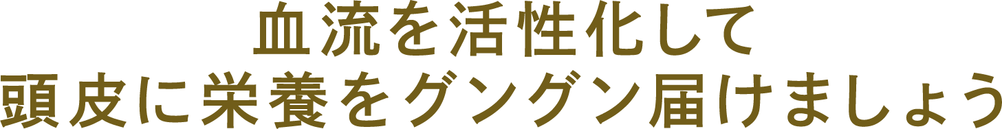 血流を活性化して頭皮に栄養をグングン届けましょう