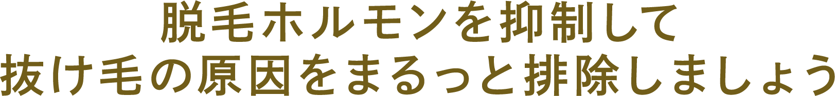 脱毛ホルモンを抑制して抜け毛の原因をまるっと排除しましょう